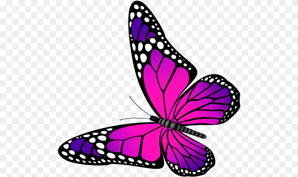 Monarch Butterfly Clipart Full Hd Butterfly Pink And Purple, Animal, Insect, Invertebrate, Art Png