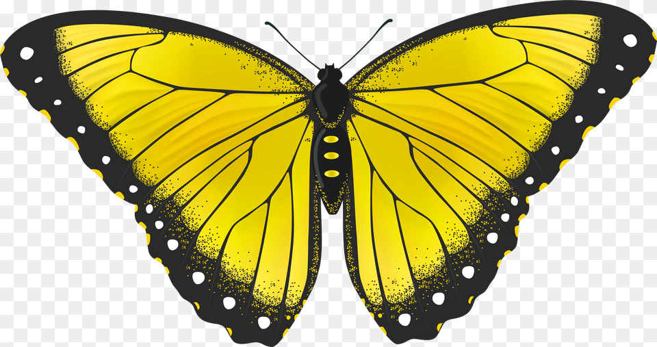 Monarch Butterfly Clipart Full Hd Yellow Butterfly Transparent Background Png Image