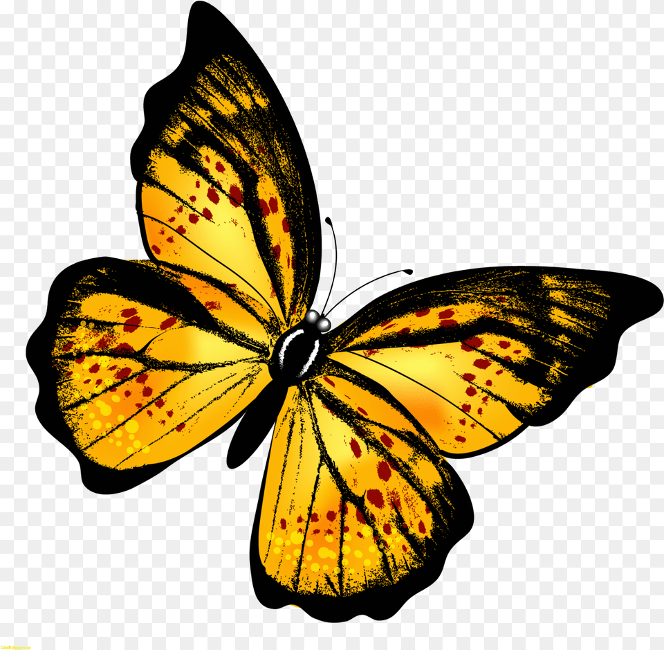 Monarch Butterfly Clipart Hindu God Butterfly Yellow Gif, Animal, Insect, Invertebrate Free Transparent Png