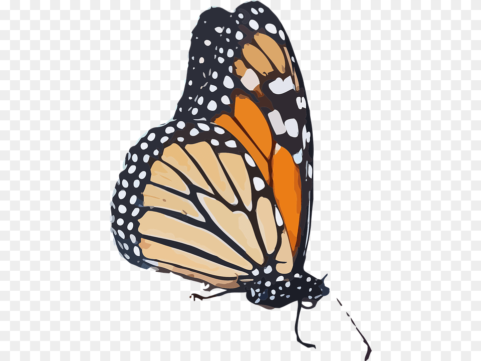 Monarch Butterfly Clipart Background Monarch Butterfly Background, Animal, Insect, Invertebrate, Fish Free Transparent Png