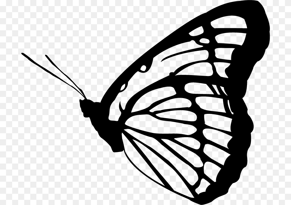 Monarch Butterfly Clipart Vector Butterfly Vector Black And White, Stencil, Animal, Insect, Invertebrate Free Transparent Png