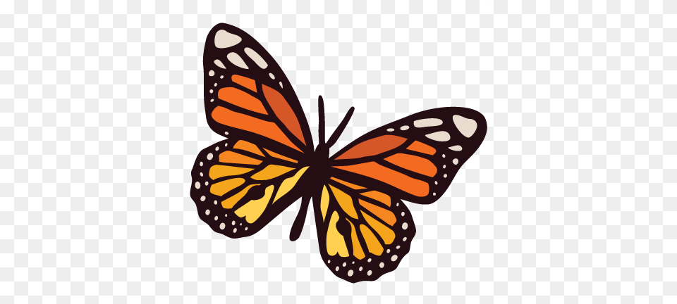 Monarch Butterfly Cuts Scrapbook Cute Clipart, Animal, Insect, Invertebrate Free Png Download