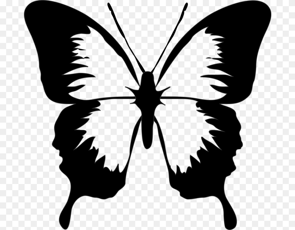 Monarch Butterfly Drawing Download Computer Icons, Silhouette, Stencil, Person, Art Free Png