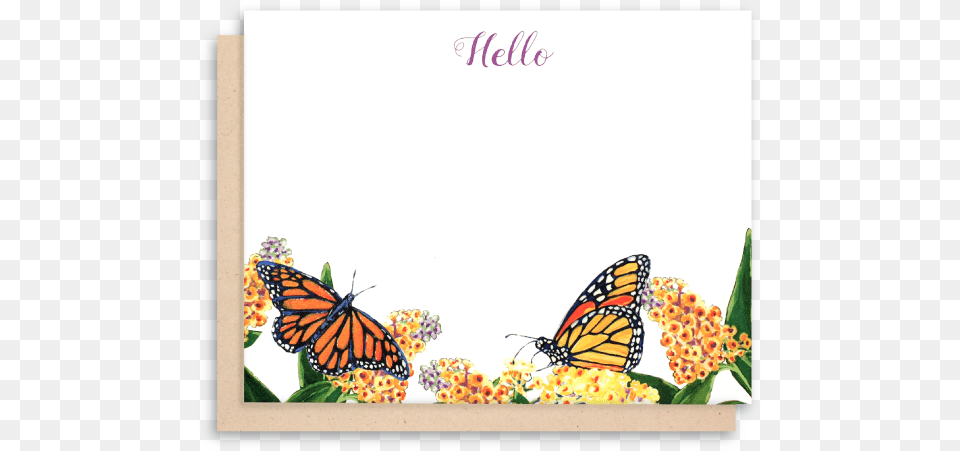 Monarch Butterfly Flat Note Cards Monarch Butterfly, Animal, Insect, Invertebrate Png