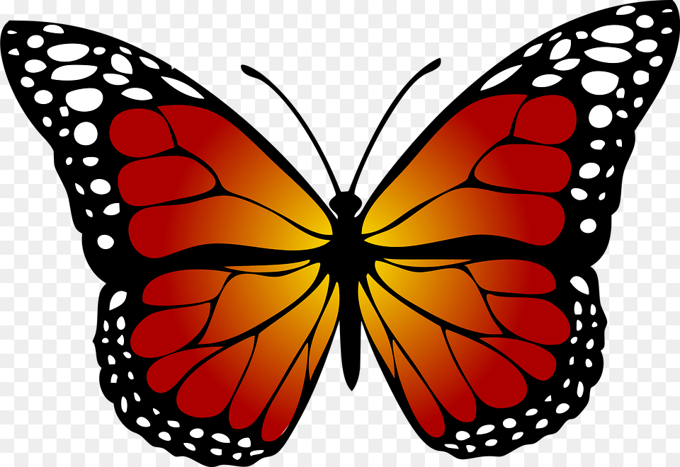 Monarch Butterfly Free, Animal, Insect, Invertebrate Png Image