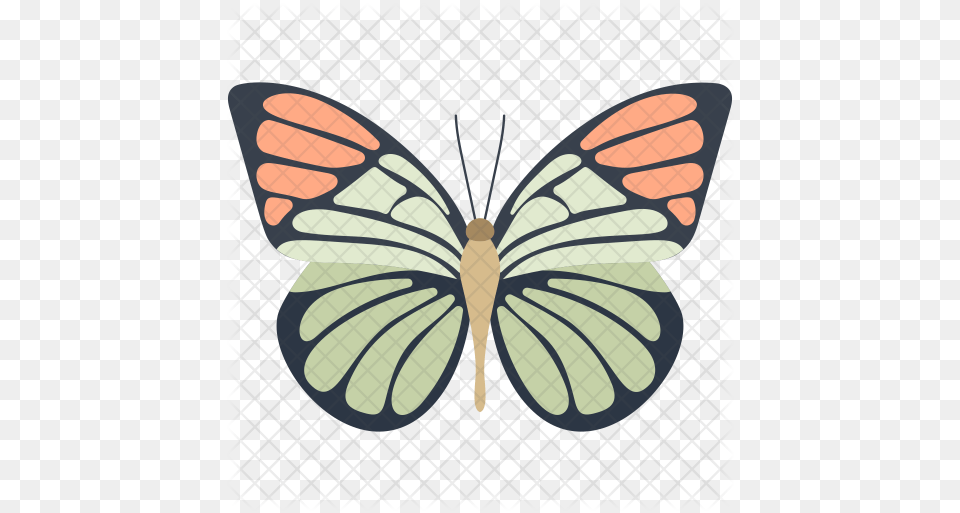 Monarch Butterfly Icon Of Colored Lovely, Animal, Insect, Invertebrate Free Png Download