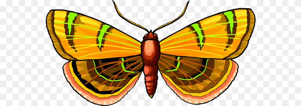 Monarch Butterfly Moth Pieridae Brush Footed Butterflies Butterfly, Animal, Insect, Invertebrate, Fish Png