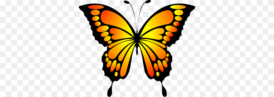 Monarch Butterfly Outline Clipart Clipart, Chandelier, Lamp, Animal, Insect Free Png