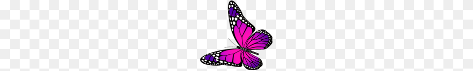 Monarch Butterfly Vector Clip Art Butterflies, Purple, Animal, Insect, Invertebrate Free Png