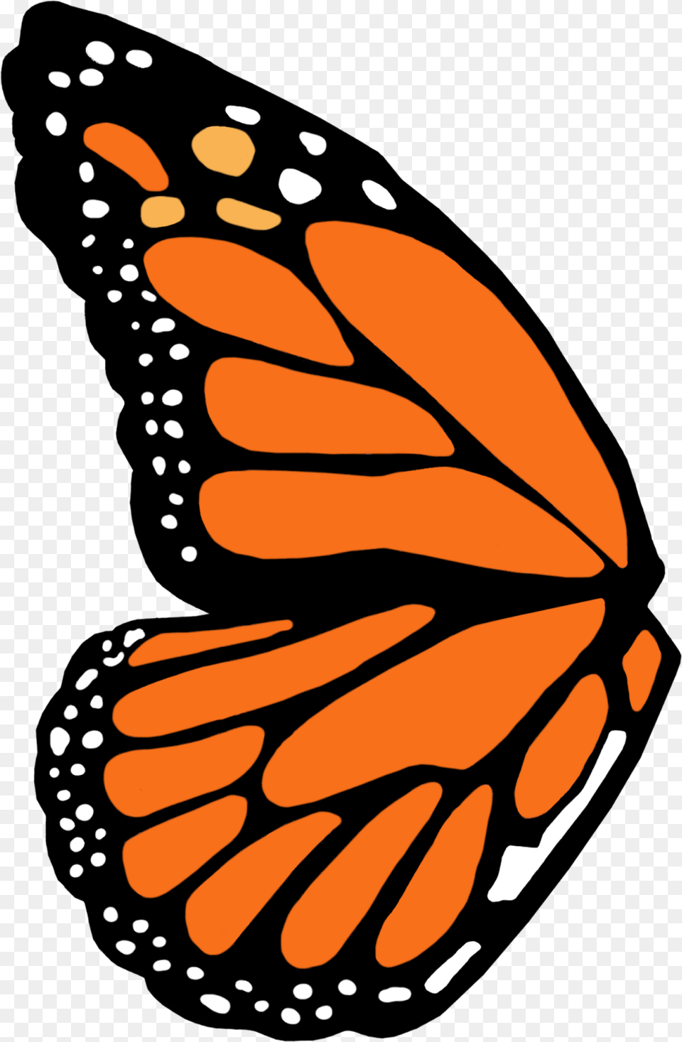 Monarch Butterfly Wing Template, Animal, Insect, Invertebrate Free Png Download