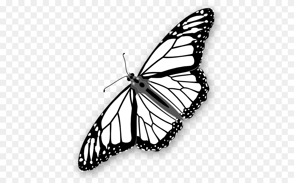 Monarch Coloring Pages, Animal, Butterfly, Insect, Invertebrate Png Image