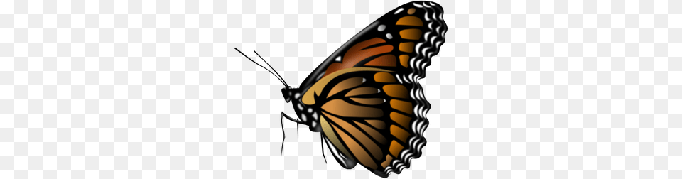 Monarch Clipart, Animal, Butterfly, Insect, Invertebrate Free Transparent Png
