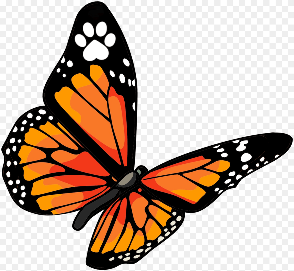 Monarch Vet Tech Services Butterfly, Animal, Insect, Invertebrate Free Png Download
