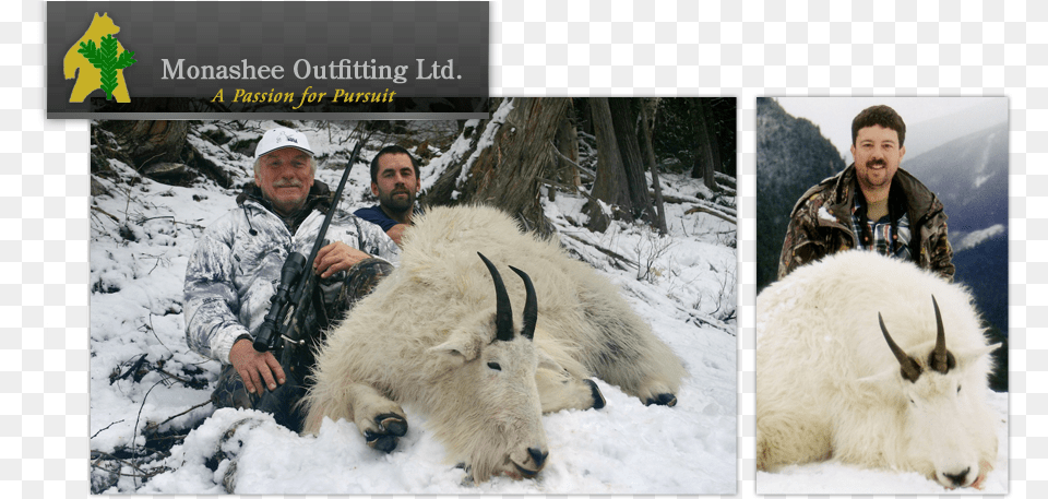 Monashee Outfitting Ltd Mountain Goat, Adult, Person, Man, Male Png
