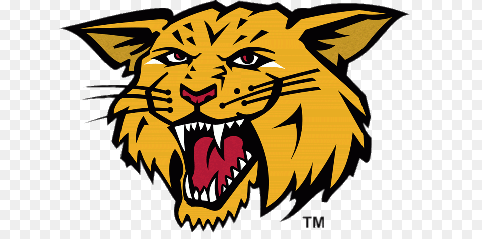 Moncton Wildcats Mascotte, Animal, Lion, Mammal, Wildlife Free Png Download