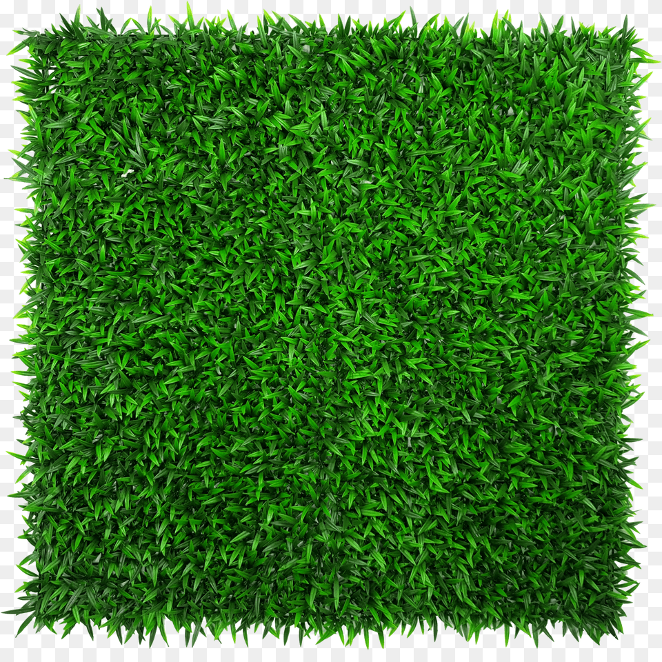 Mondo Hedge Screen Green Wall Panel Uv Resistant 100cm X Green Wall Samples Free Png Download