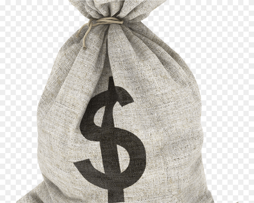 Money Bag Transparent Image Bag Of Money, Adult, Bride, Female, Person Free Png Download