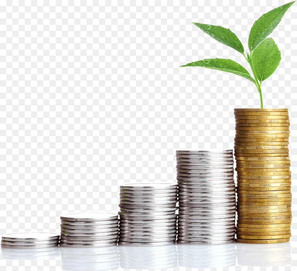 Money Growth Transparent Money Growth, Plant, Coin Free Png