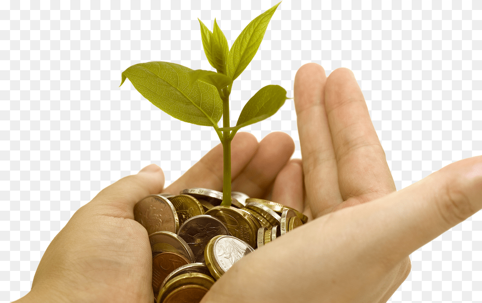 Money On Hand Free Png