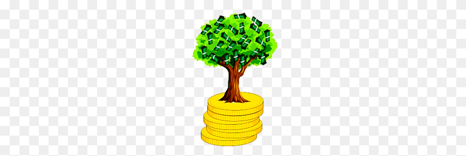 Money Tree, Plant, Potted Plant, Device, Grass Free Transparent Png