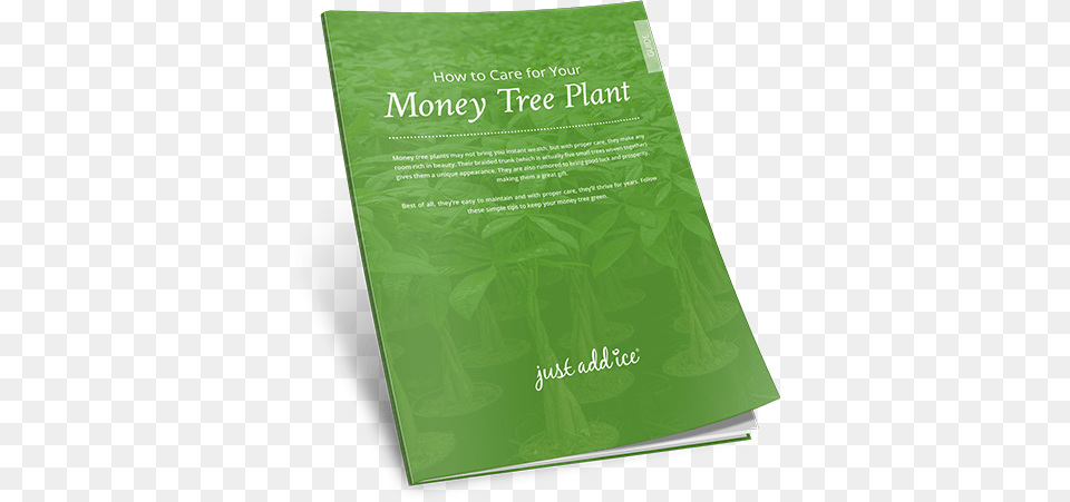 Money Tree Care Guide Money Tree Plant Care Tree Care Flyer, Advertisement, Poster, Blackboard, Herbal Free Png Download