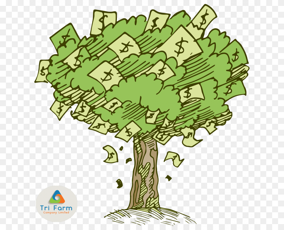 Money Tree Cartoon Money Tree Drawing, Green, Plant, Vegetation, Art Free Transparent Png