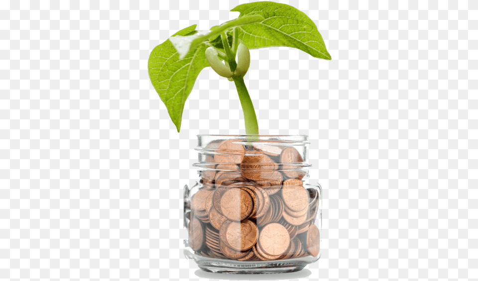 Money Tree Background Money Tree, Jar Free Transparent Png