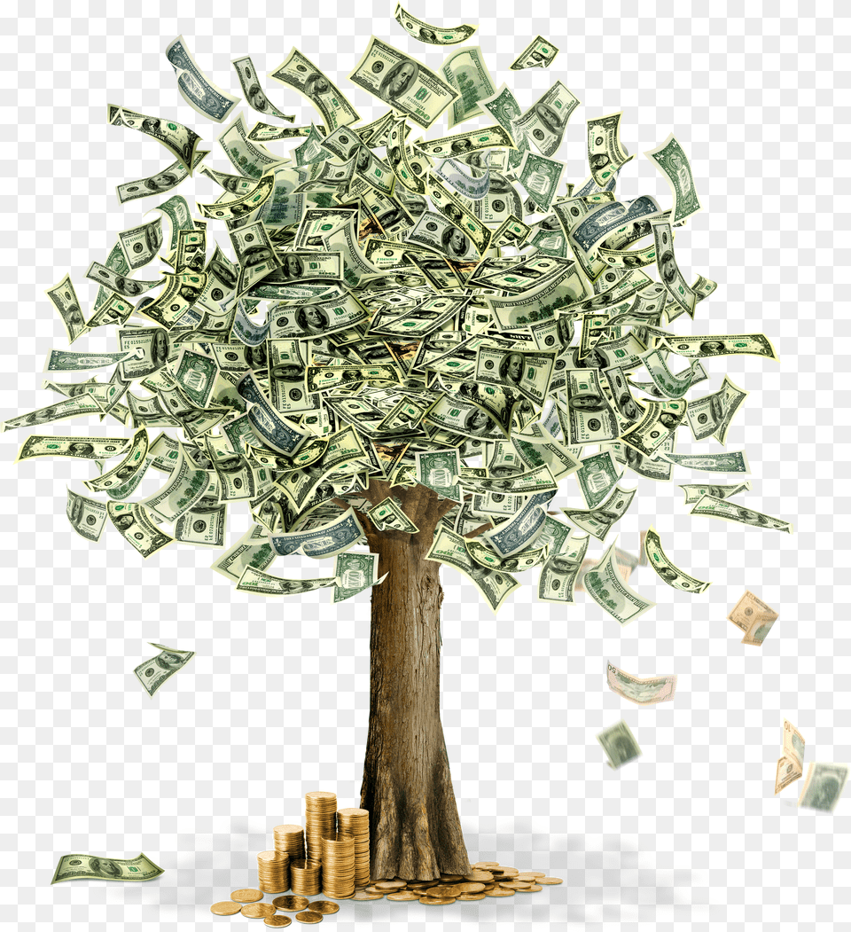 Money Tree With Dollars Png