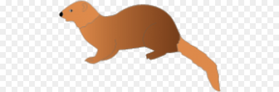 Mongoose Clipart Clip Art Ferret, Animal, Mammal, Baby, Person Free Png Download