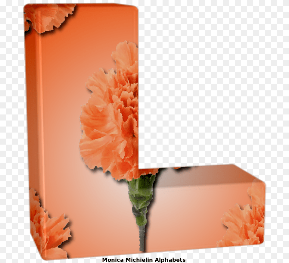 Monica Michielin Alphabets Orange Carnation Flower Alphabet Artificial Flower, Plant Free Png Download