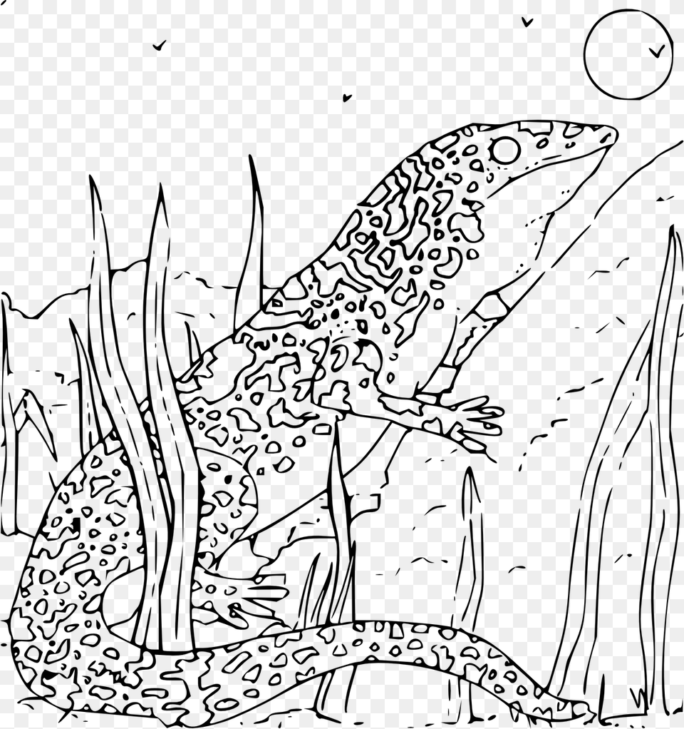 Monitor Lizard Coloring Page, Gray Png