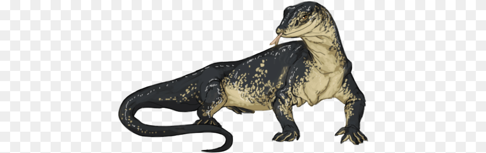 Monitor Lizard Monitor Lizard Background, Animal, Dinosaur, Reptile, Sea Life Free Transparent Png