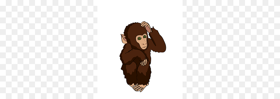 Monkey Animal, Ape, Baby, Mammal Png