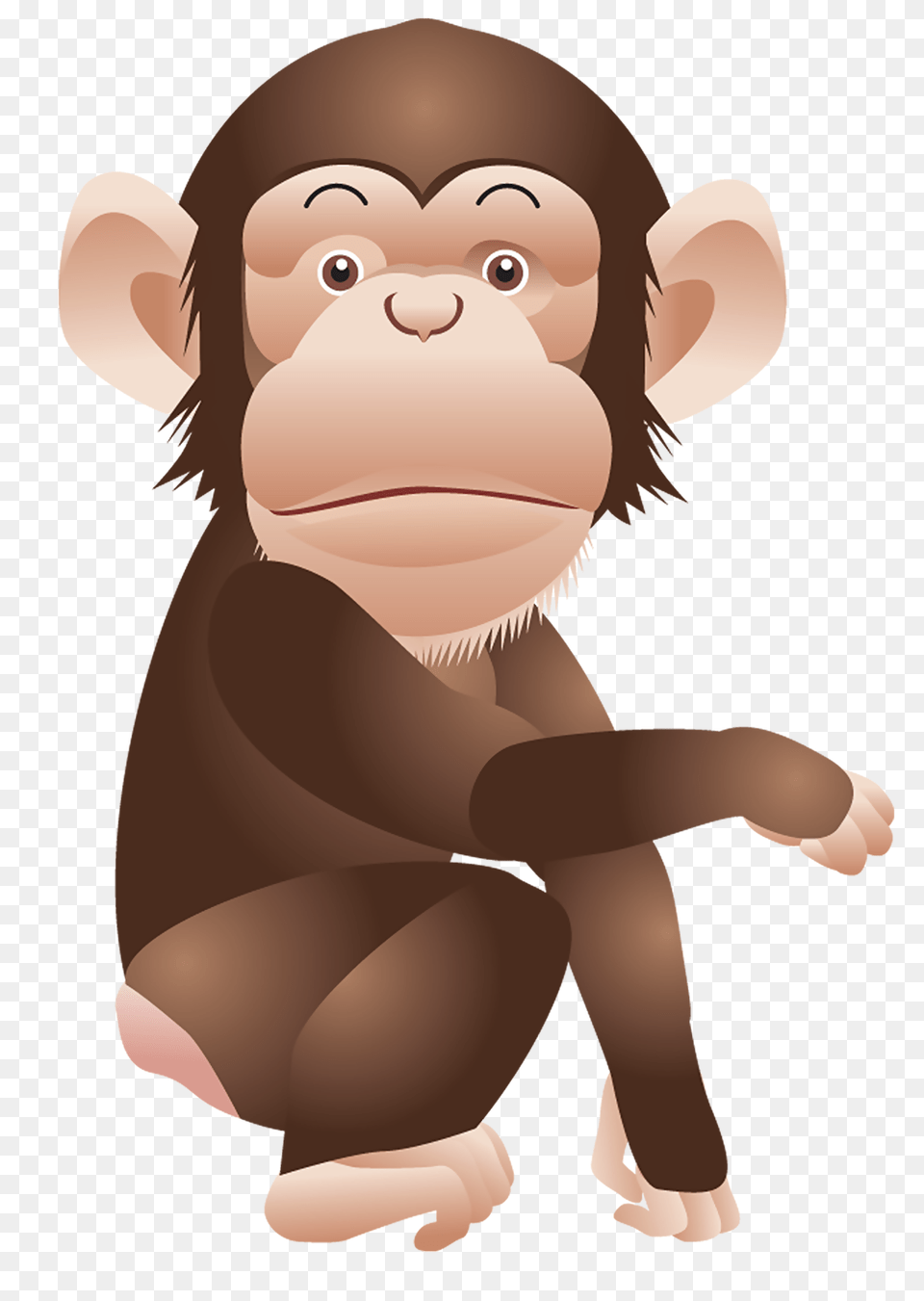 Monkey, Animal, Ape, Mammal, Wildlife Png Image