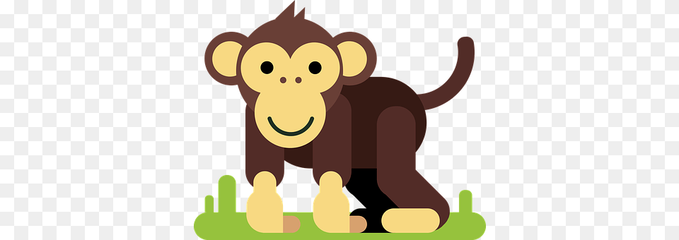 Monkey Animal, Bear, Mammal, Wildlife Free Transparent Png