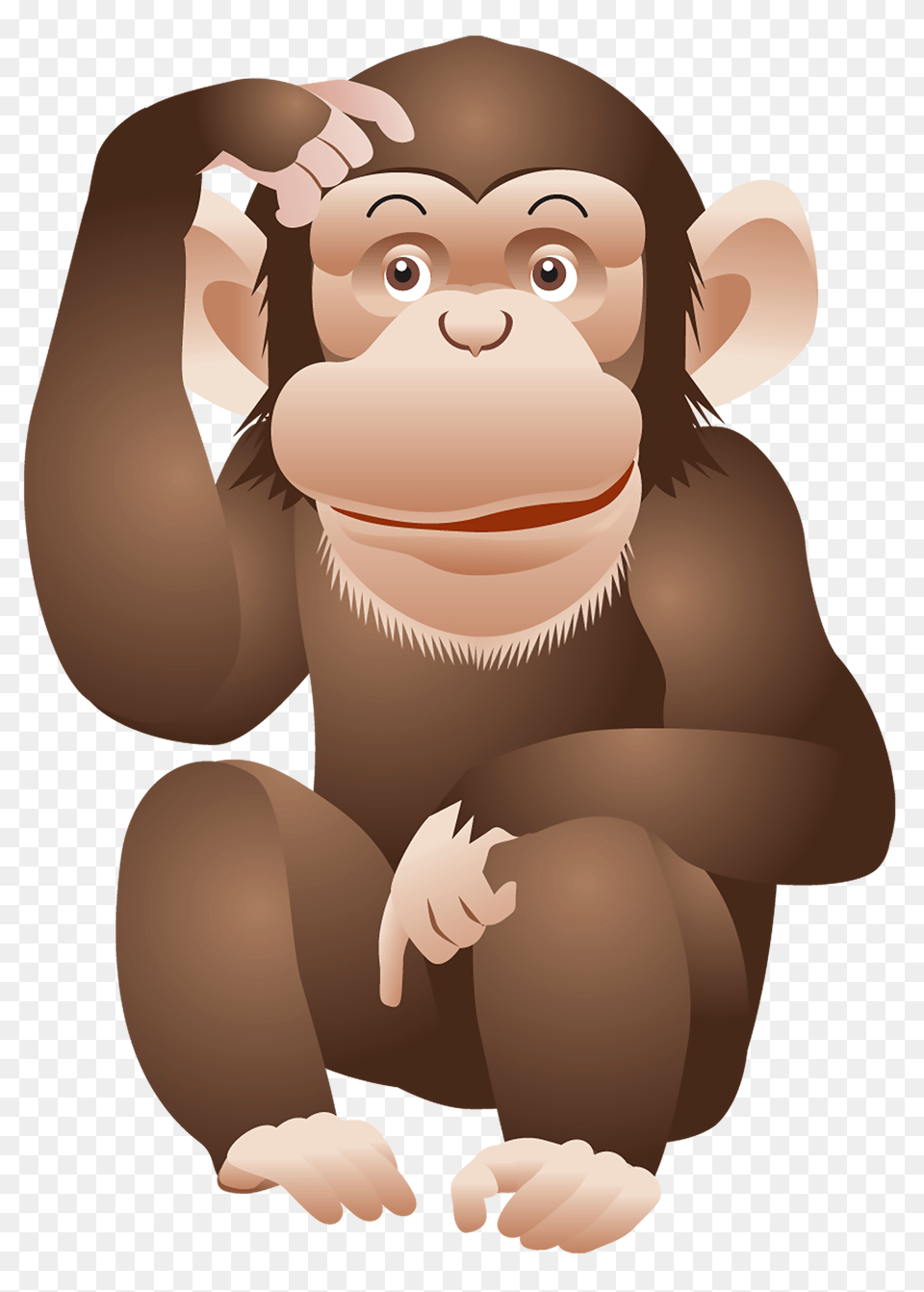 Monkey, Animal, Ape, Mammal, Wildlife Free Png Download