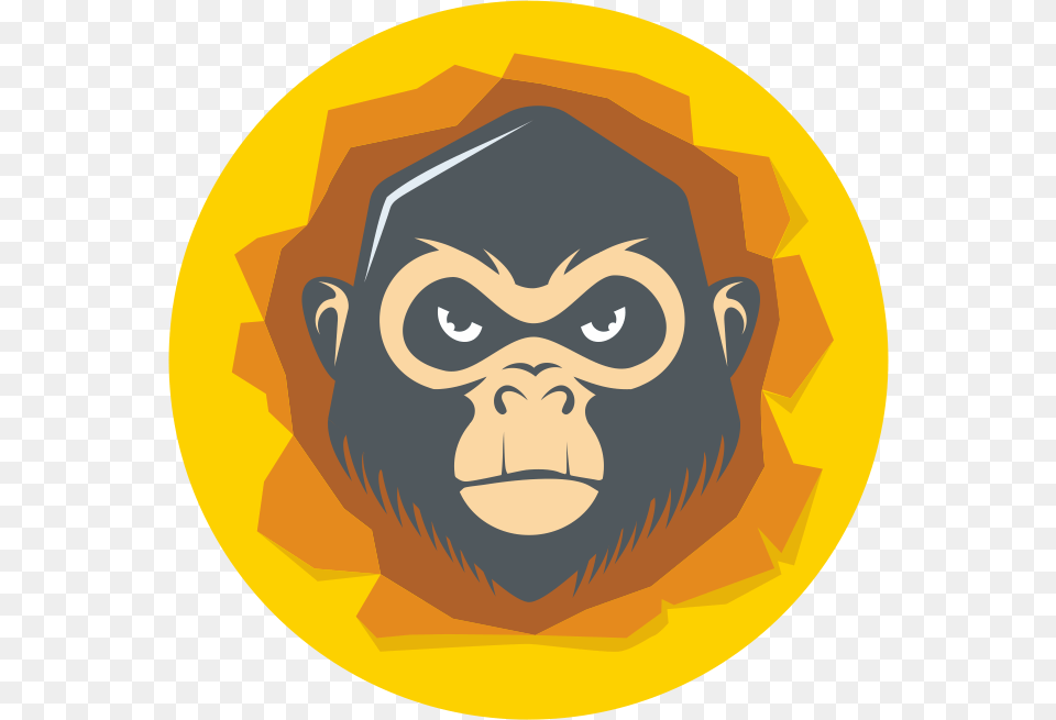 Monkey, Animal, Ape, Mammal, Wildlife Free Png