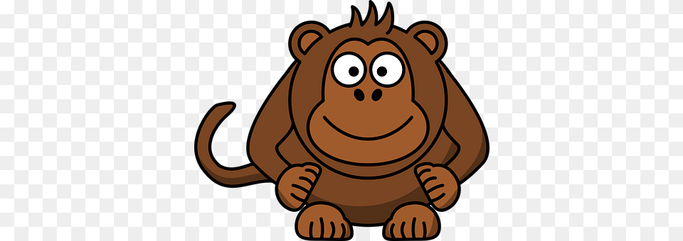 Monkey Animal, Mammal, Wildlife, Bear Free Transparent Png