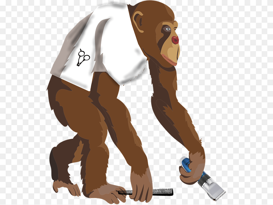 Monkey Barber Hairdresser Funny Chimpanzee Cartoon Clipart, Adult, Person, Man, Male Free Png Download