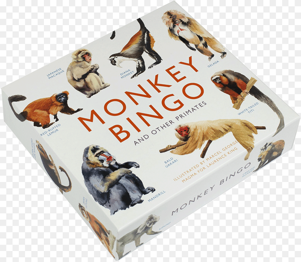 Monkey Bingo Game 6 Puffin, Book, Publication, Mammal, Animal Free Png