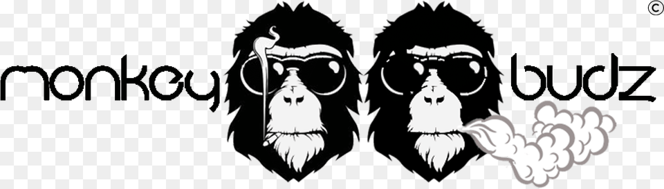 Monkey Budz Logo Macaque, Stencil, Baby, Person, Face Free Png