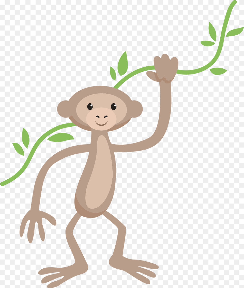 Monkey Cartoon Monkey, Animal, Bear, Mammal, Wildlife Free Png