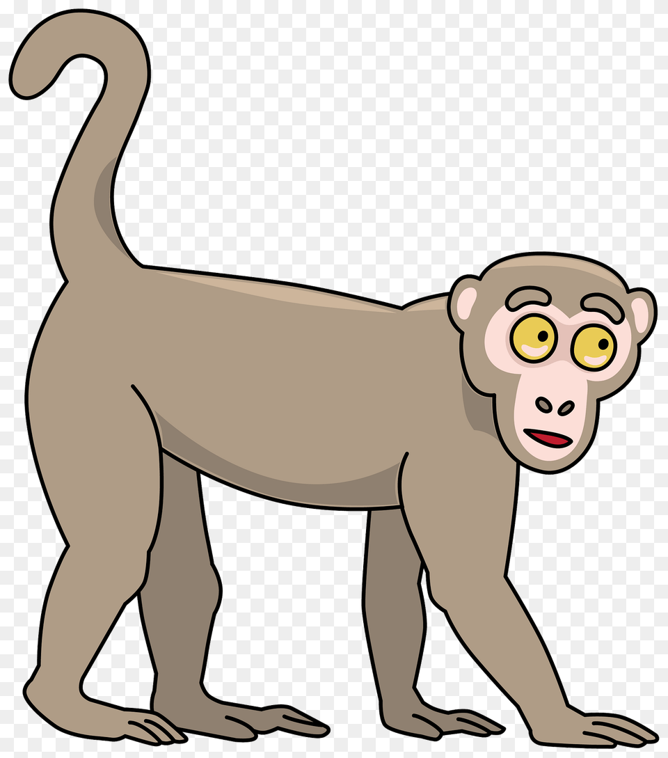 Monkey Clipart, Animal, Wildlife, Mammal, Baby Png Image