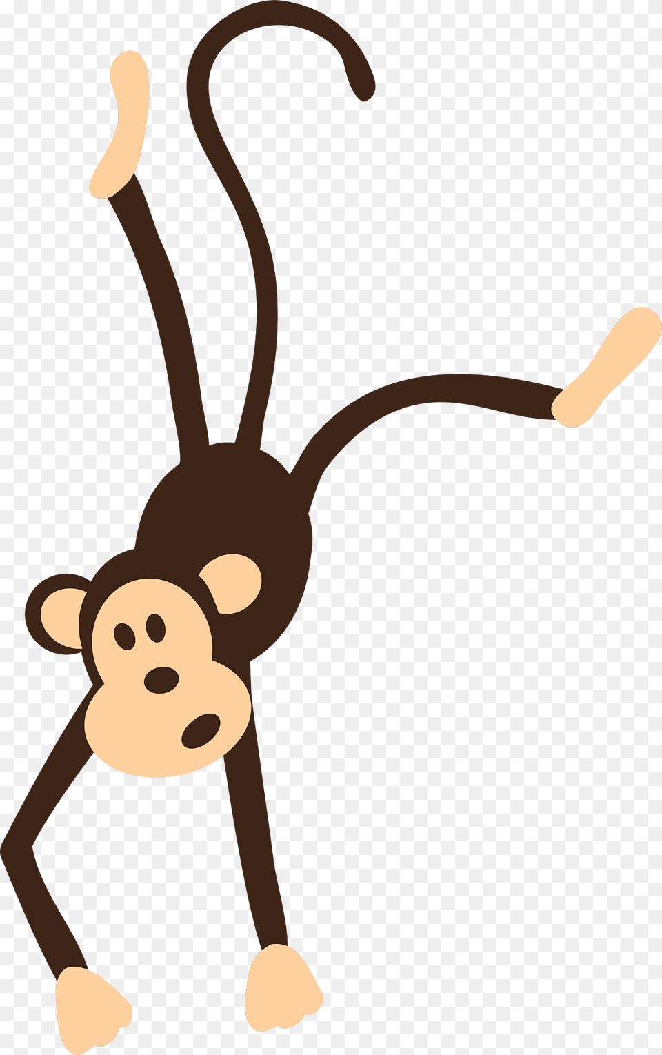 Monkey Clipart, Animal, Invertebrate, Spider Png