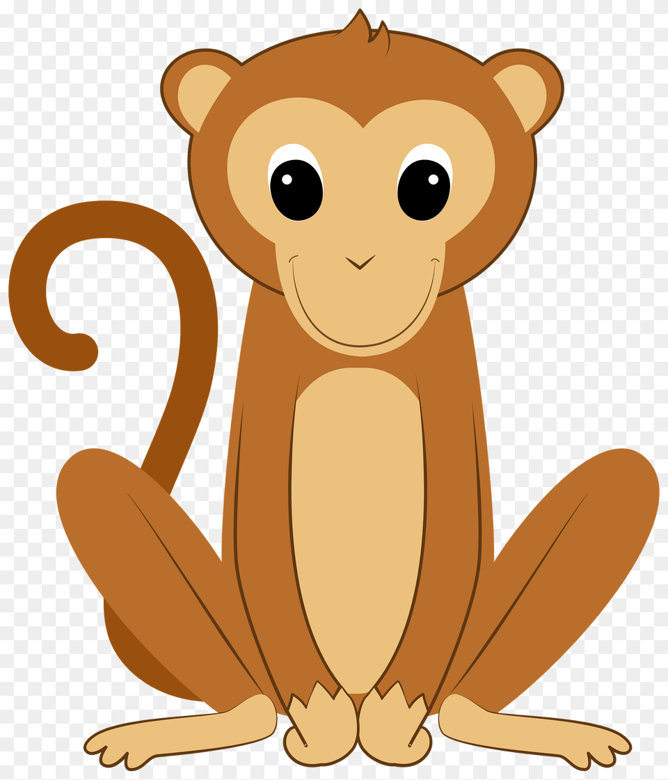 Monkey Clipart, Animal, Bear, Mammal, Wildlife Free Transparent Png
