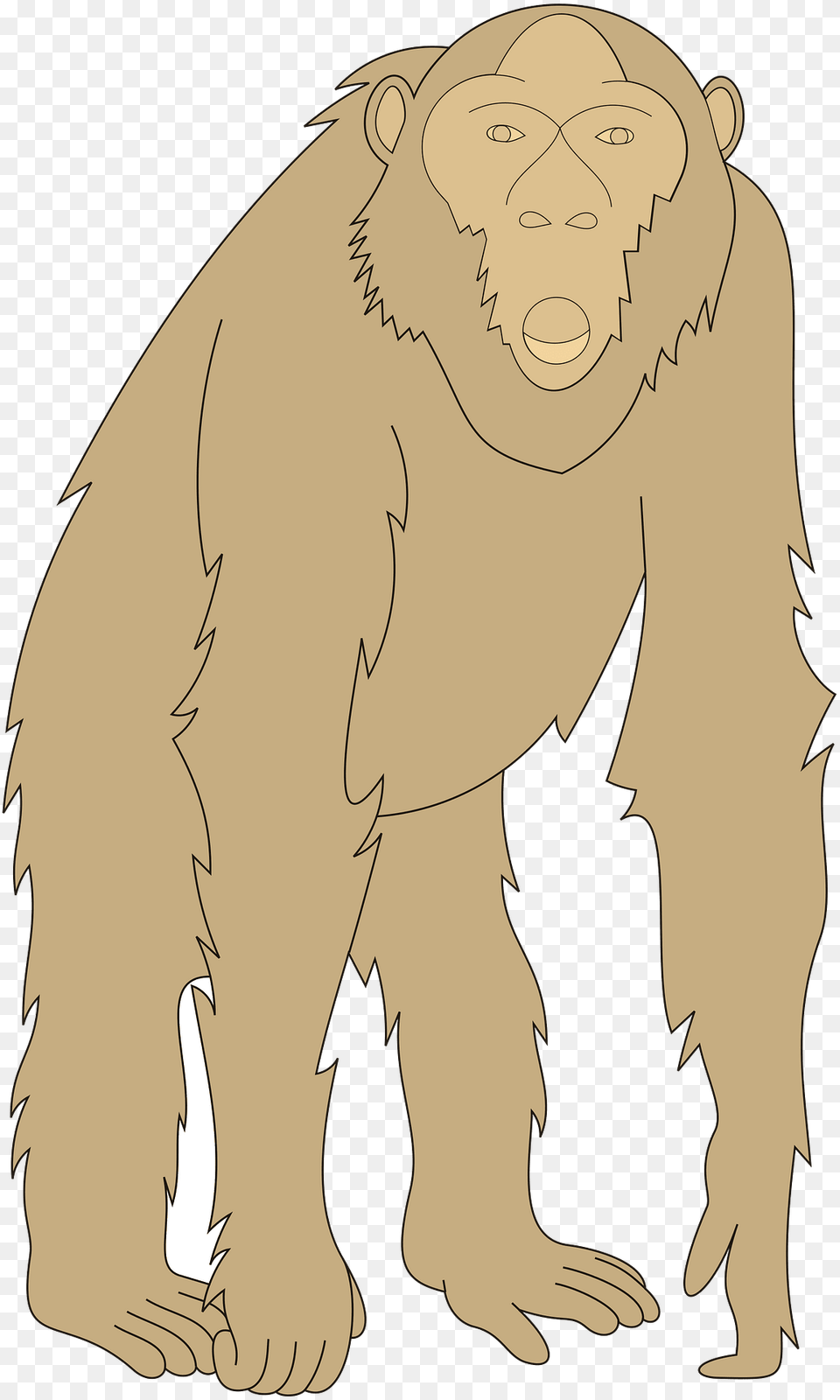 Monkey Clipart, Animal, Ape, Mammal, Person Png Image