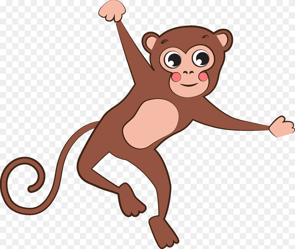 Monkey Clipart, Animal, Bear, Mammal, Wildlife Png