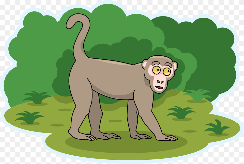 Monkey Clipart, Animal, Bear, Mammal, Wildlife Free Png Download