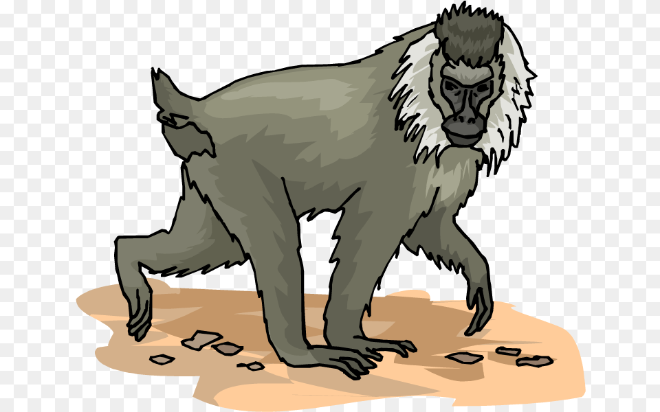 Monkey Clipart Baboon Baboons, Adult, Person, Man, Male Free Png Download