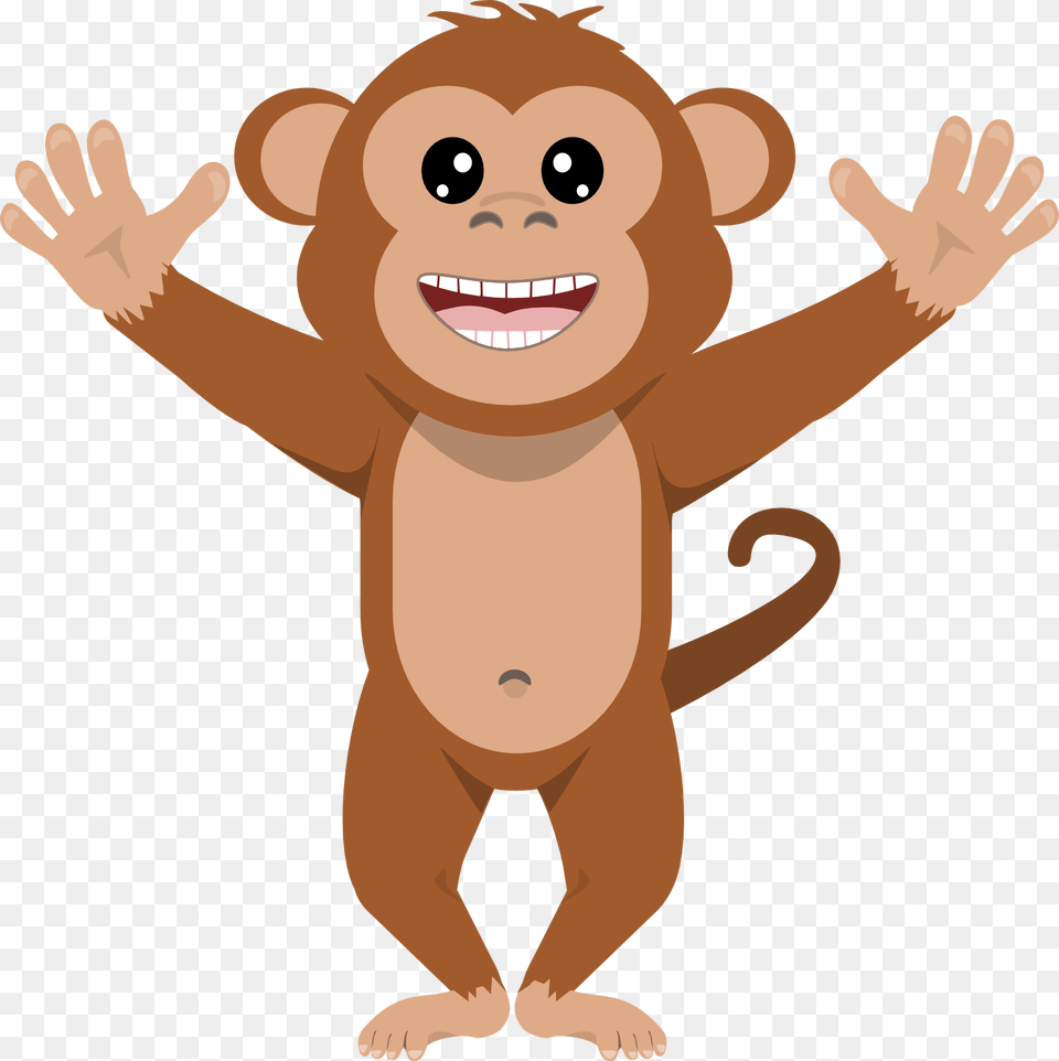 Monkey Clipart No Background, Animal, Bear, Mammal, Wildlife Png Image